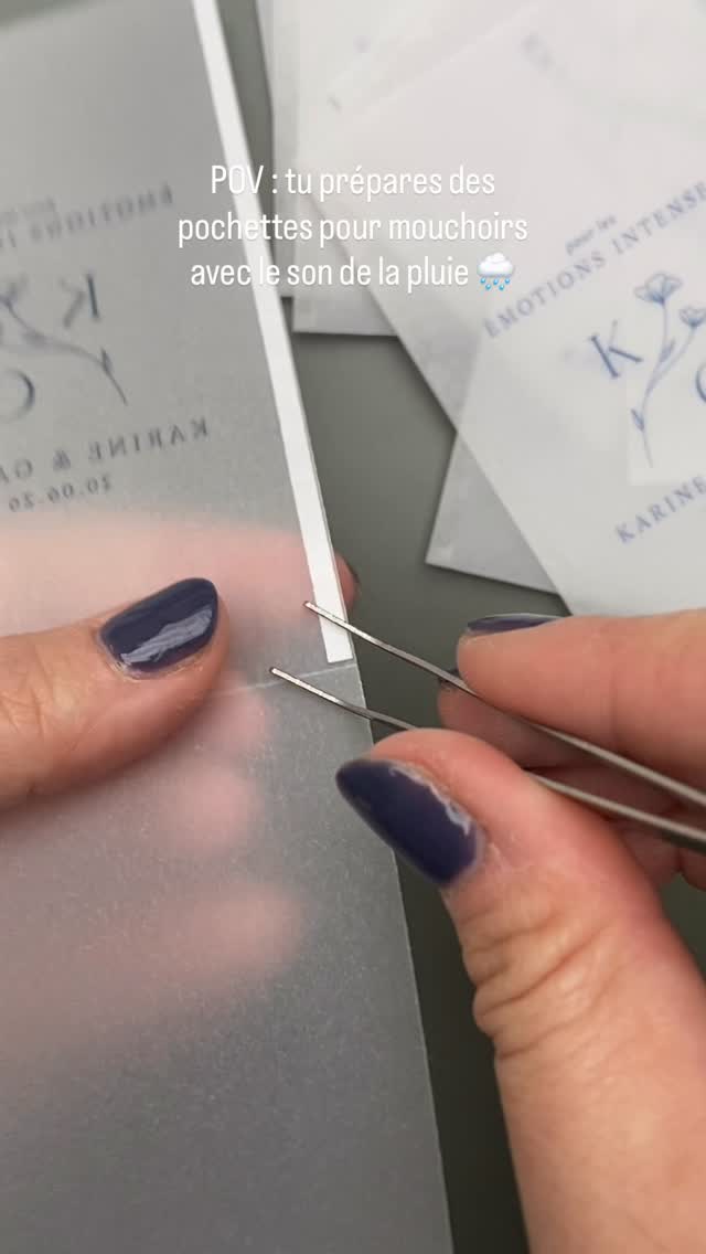 Publication TikTok Memerle